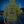 17th 12th Lancers Premium Veteran Hoodie (010)-Military Covers