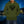 ha-scull-rose-beard-wings-logo-hooligan-apparel-premium-hooligan-art-men-s-hoodie-or-jumper